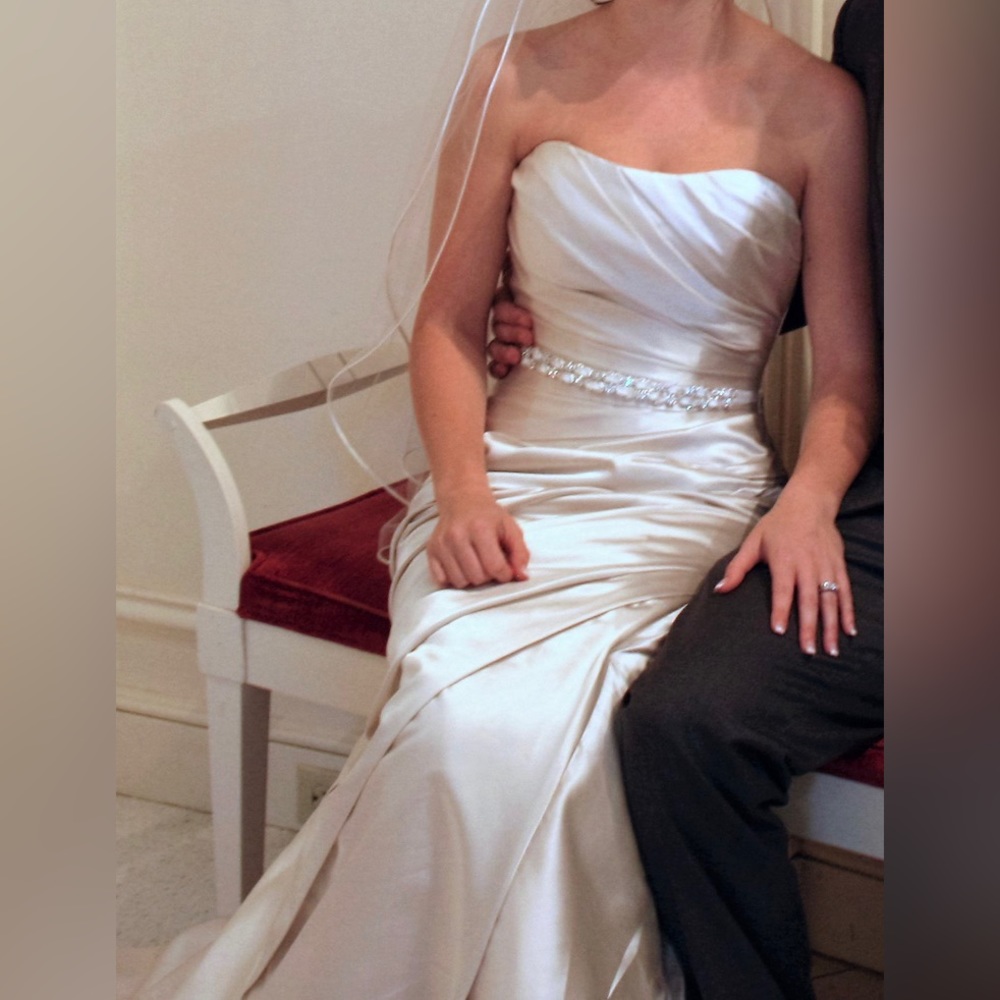 Pronovias Wedding Dress - Picture 4 of 8